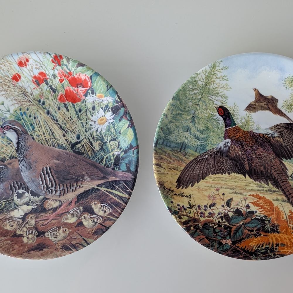 Derek Braithwaite - Game Bird Set Of 2 Decorative Plates